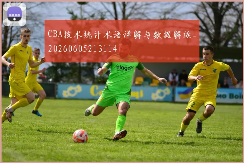 CBA技术统计术语详解与数据解读_20260605213114