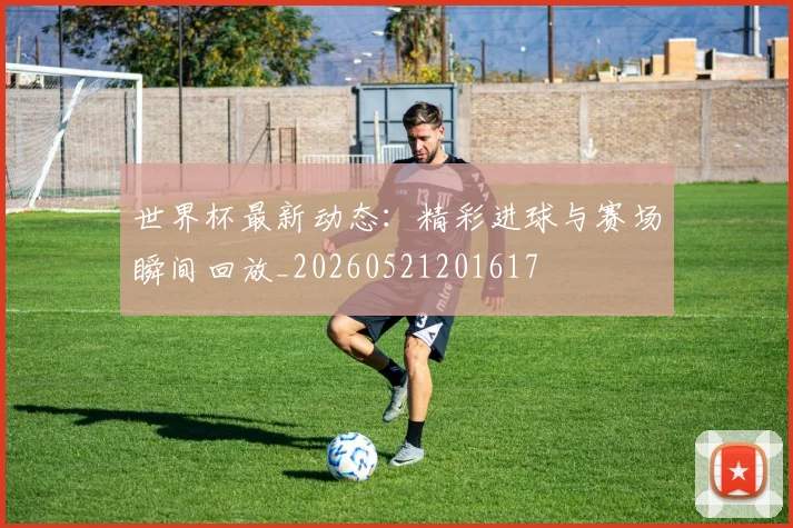 世界杯最新动态：精彩进球与赛场瞬间回放_20260521201617