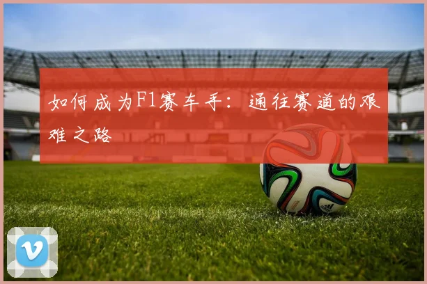 如何成为F1赛车手：通往赛道的艰难之路