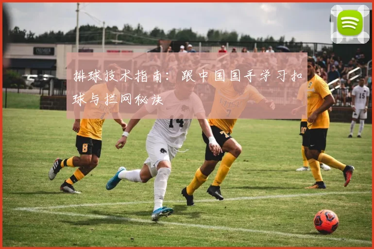 排球技术指南：跟中国国手学习扣球与拦网秘诀