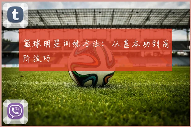 篮球明星训练方法:从基本功到高阶技巧